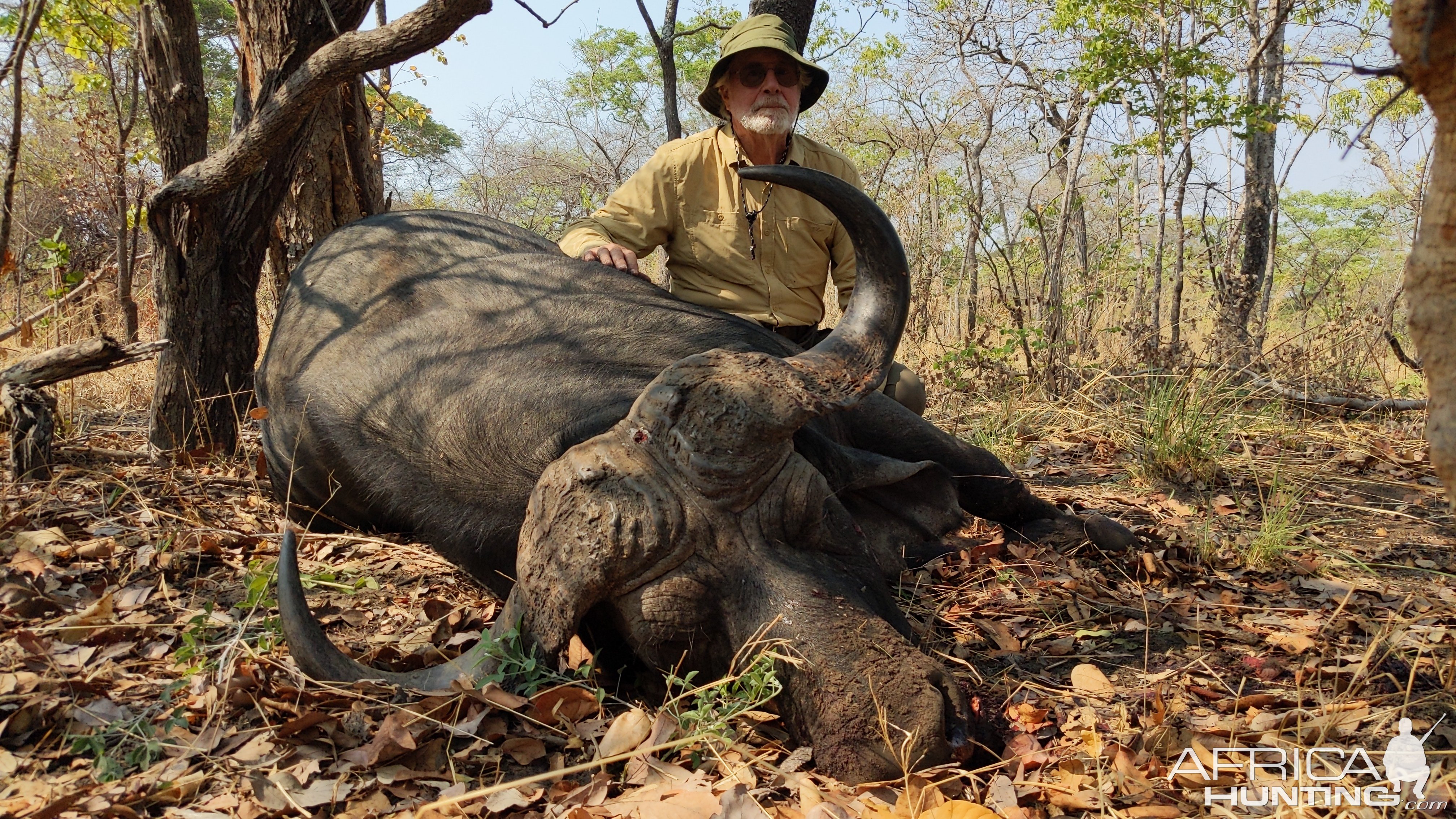 Buffalo Hunting