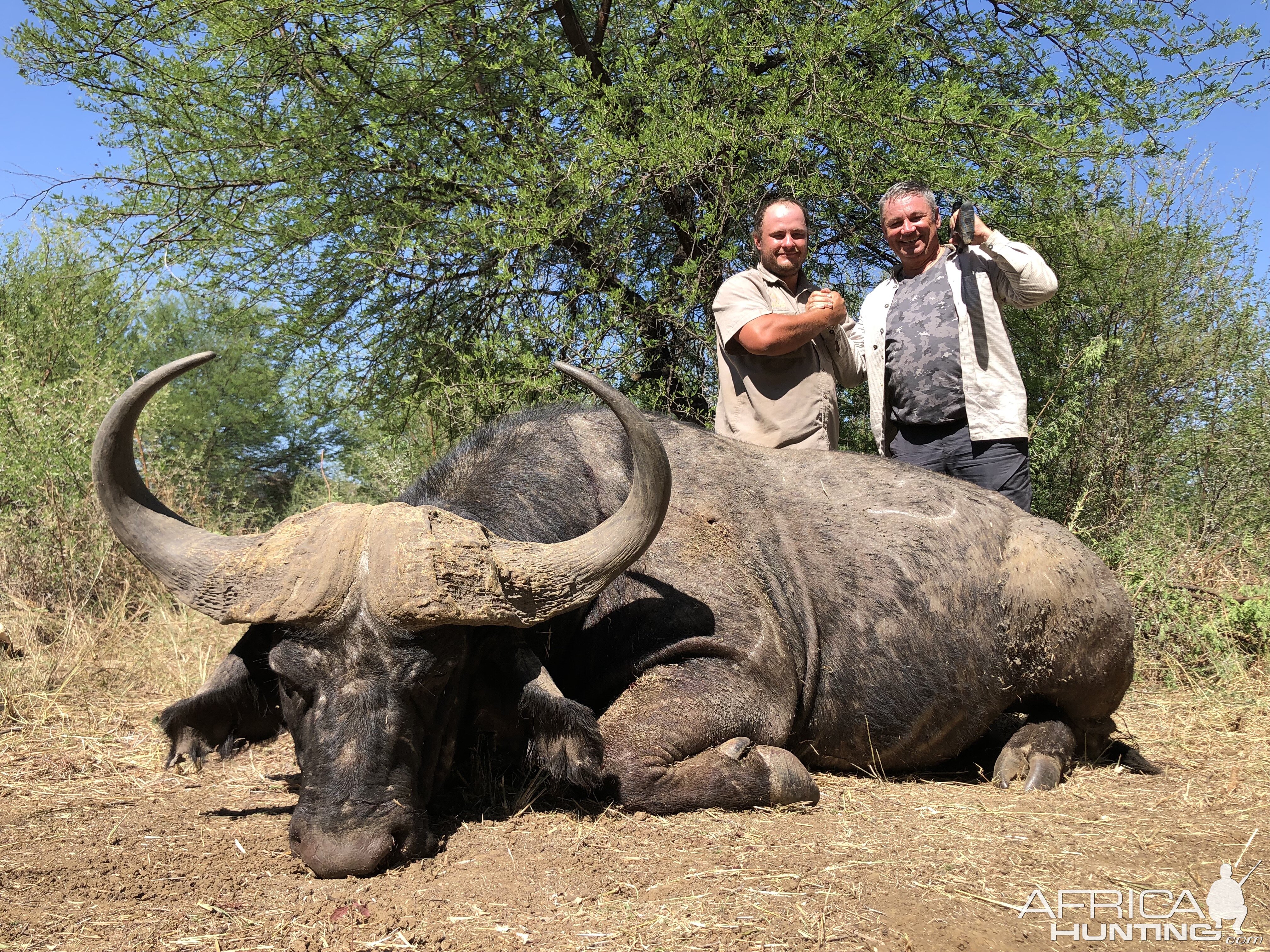 Buffalo Hunting