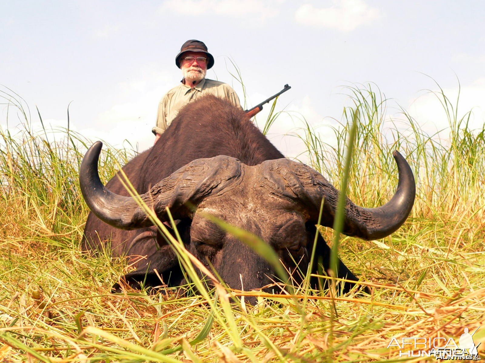 Buffalo Mozambique