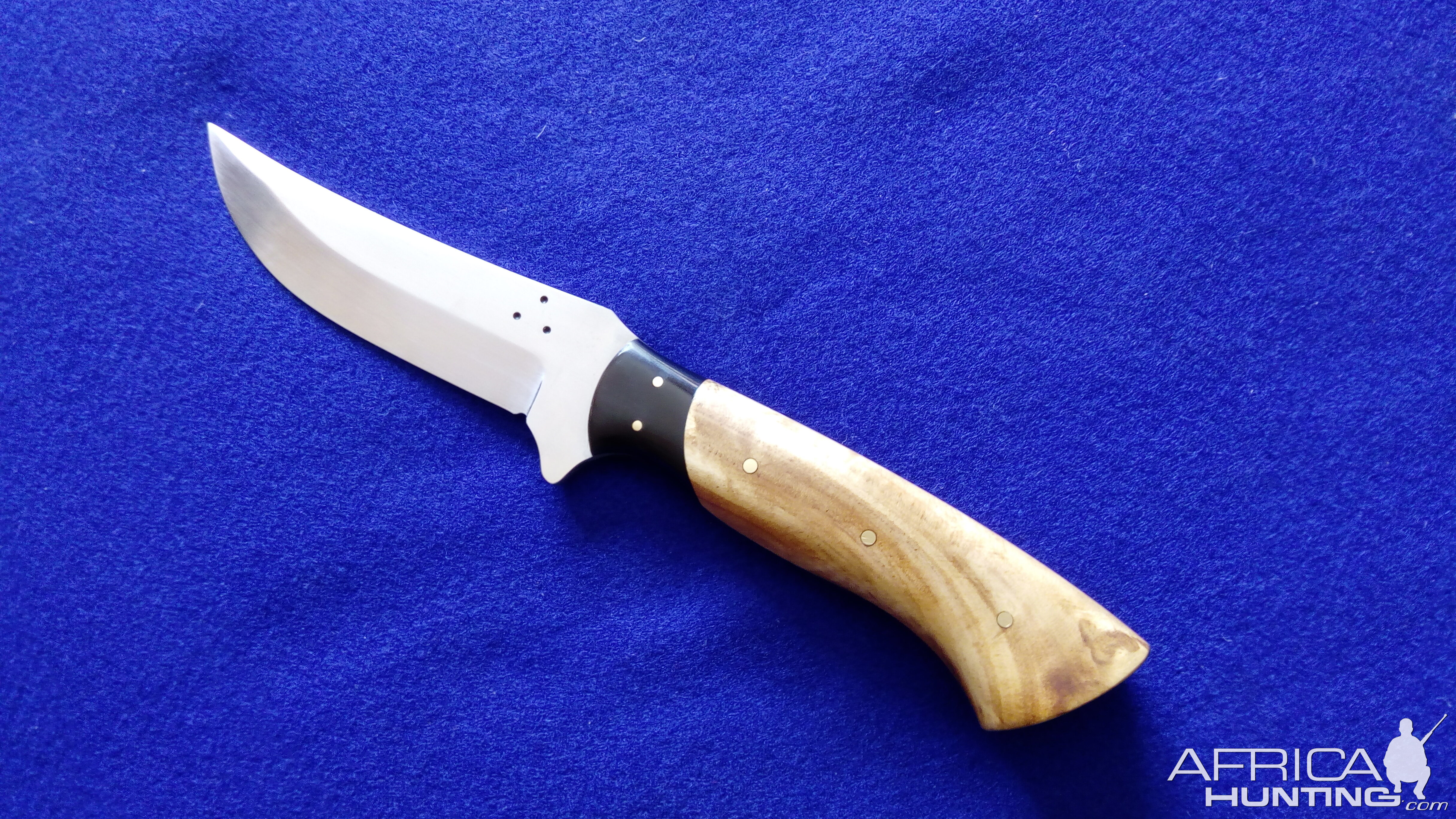 Buffalo Skinner Knife with Eucalyptus Root handles over curve backed Buffalo Horn bolsters