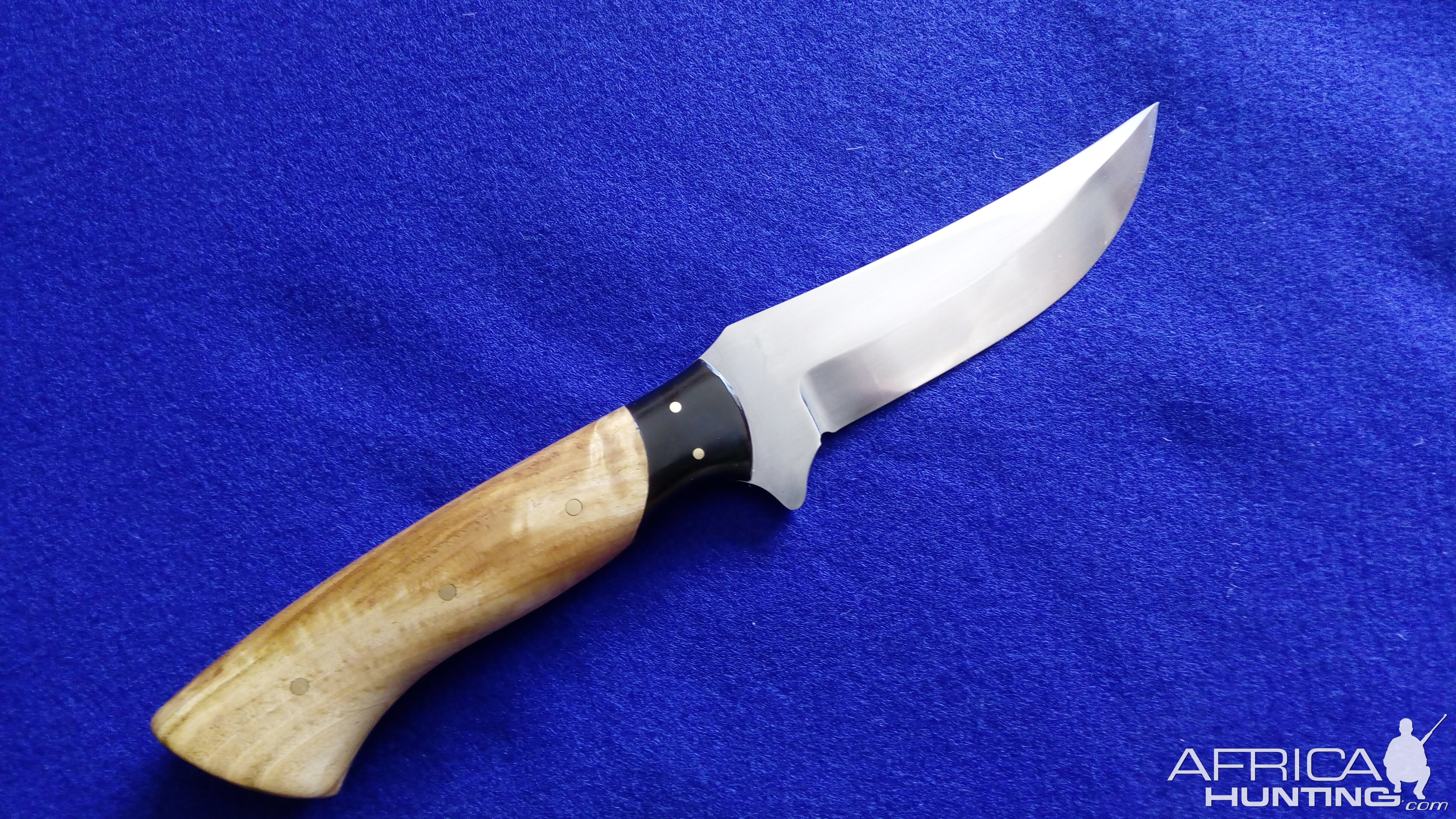 Buffalo Skinner Knife with Eucalyptus Root handles over curve backed Buffalo Horn bolsters