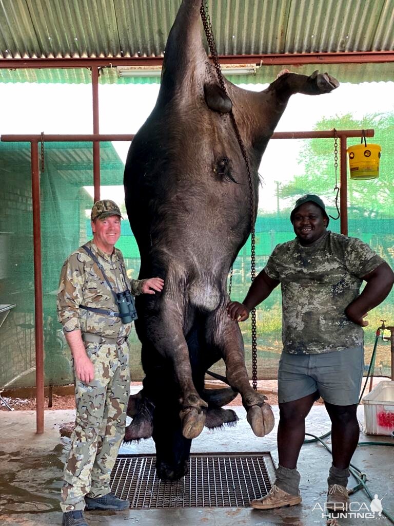 Buffalo Skinning South Africa