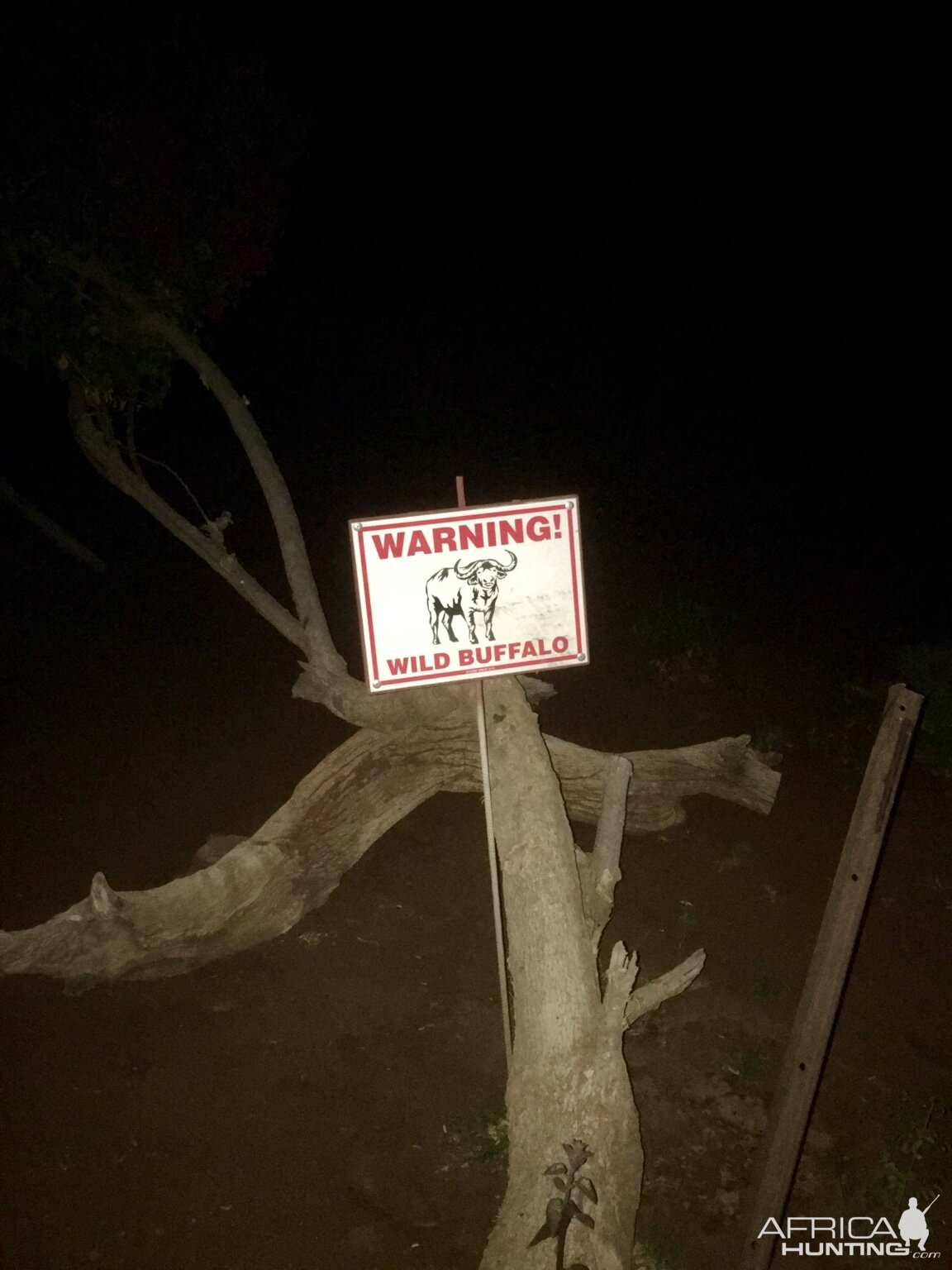 Buffalo Warning Sign
