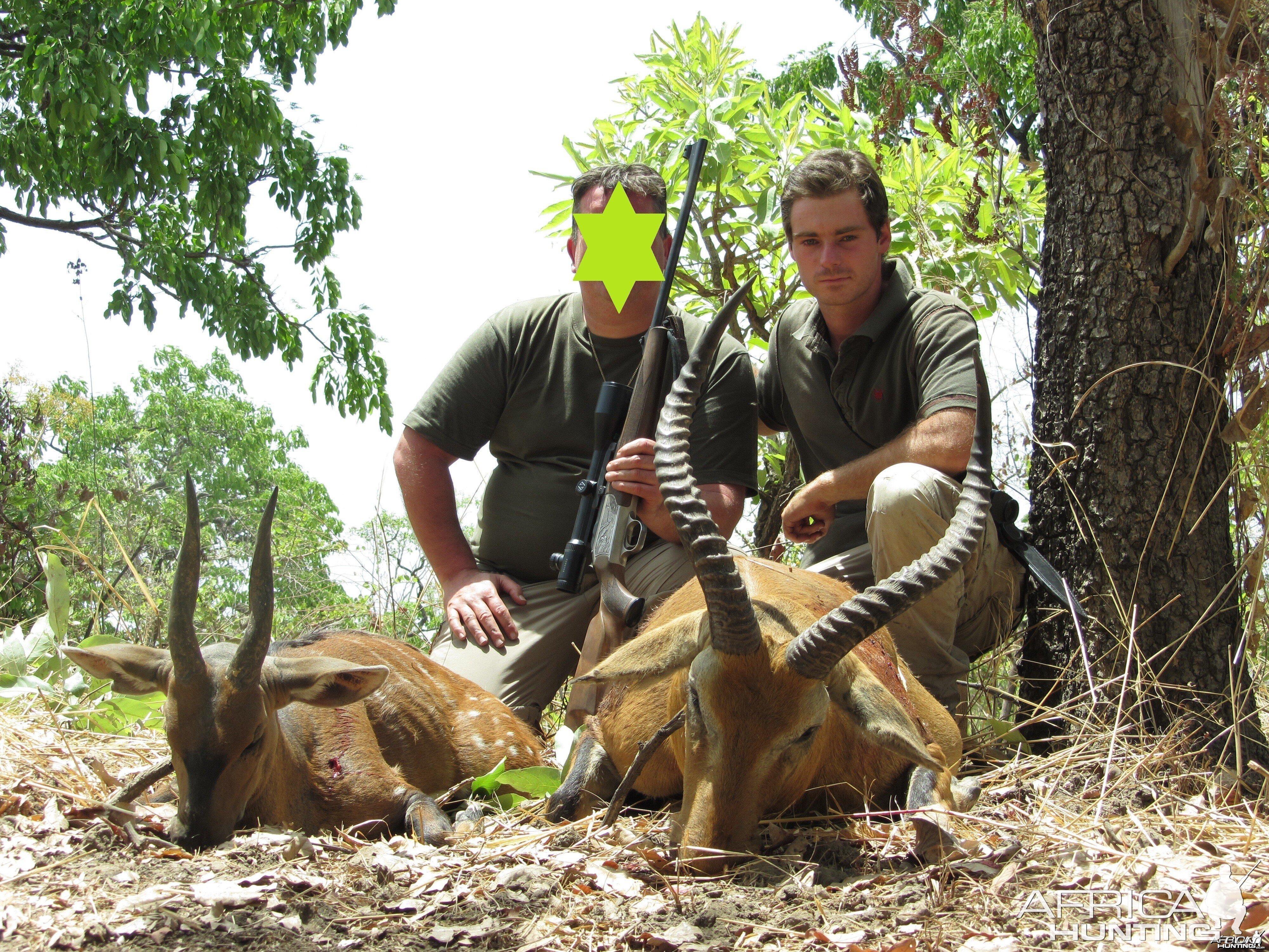 Buffon's Cob and Harnessed Bushbuck