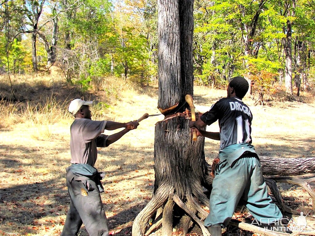 Building a vehicle bridge Zambia