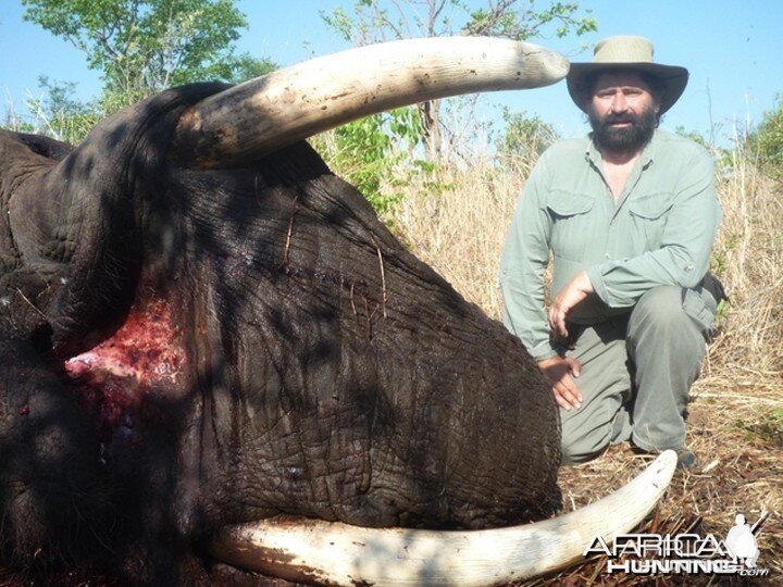 Bull Elephant hunted in Matetsi Unit 1 Zimbabwe