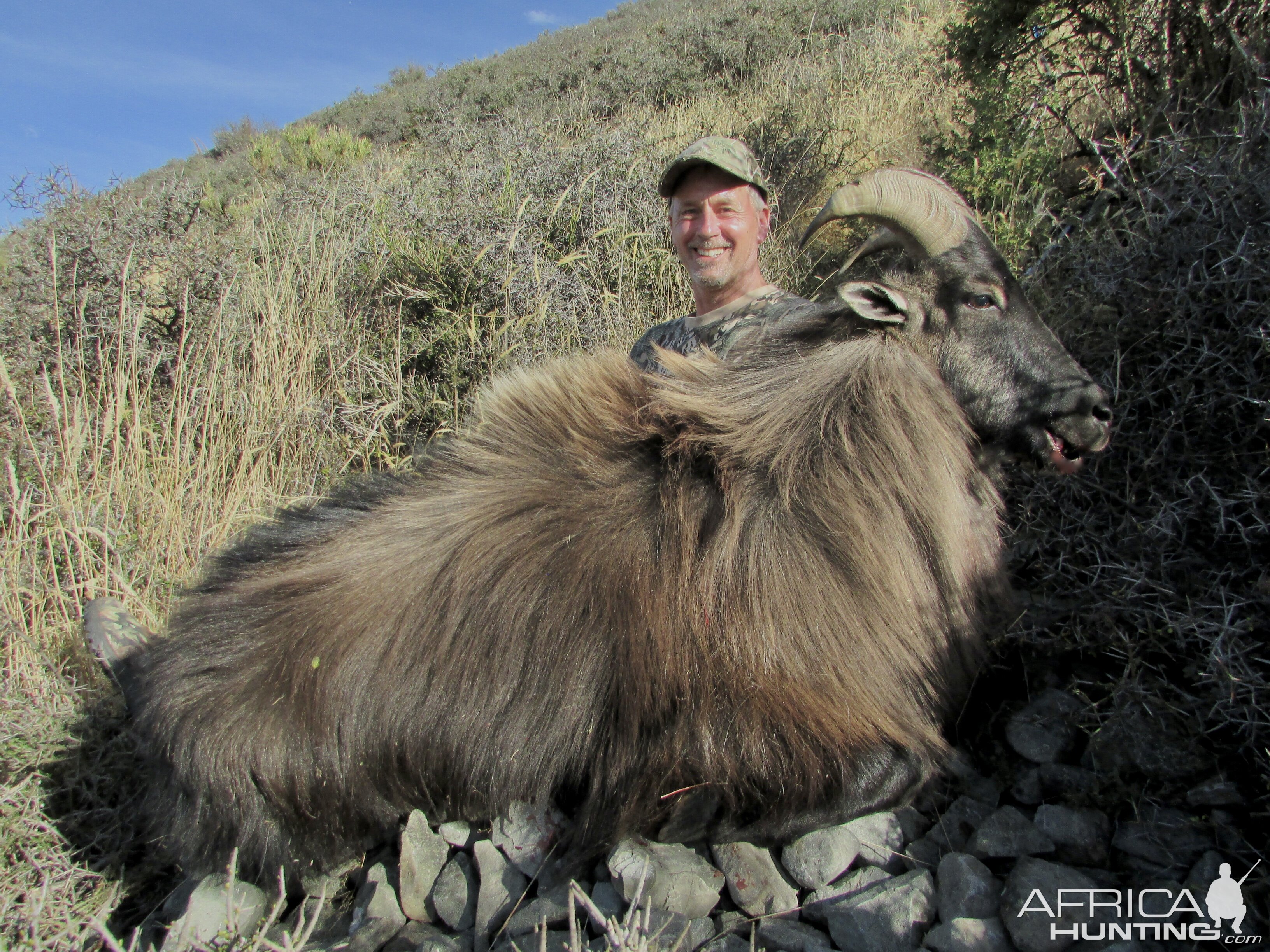 Bull Tahr Hunting New Zealand