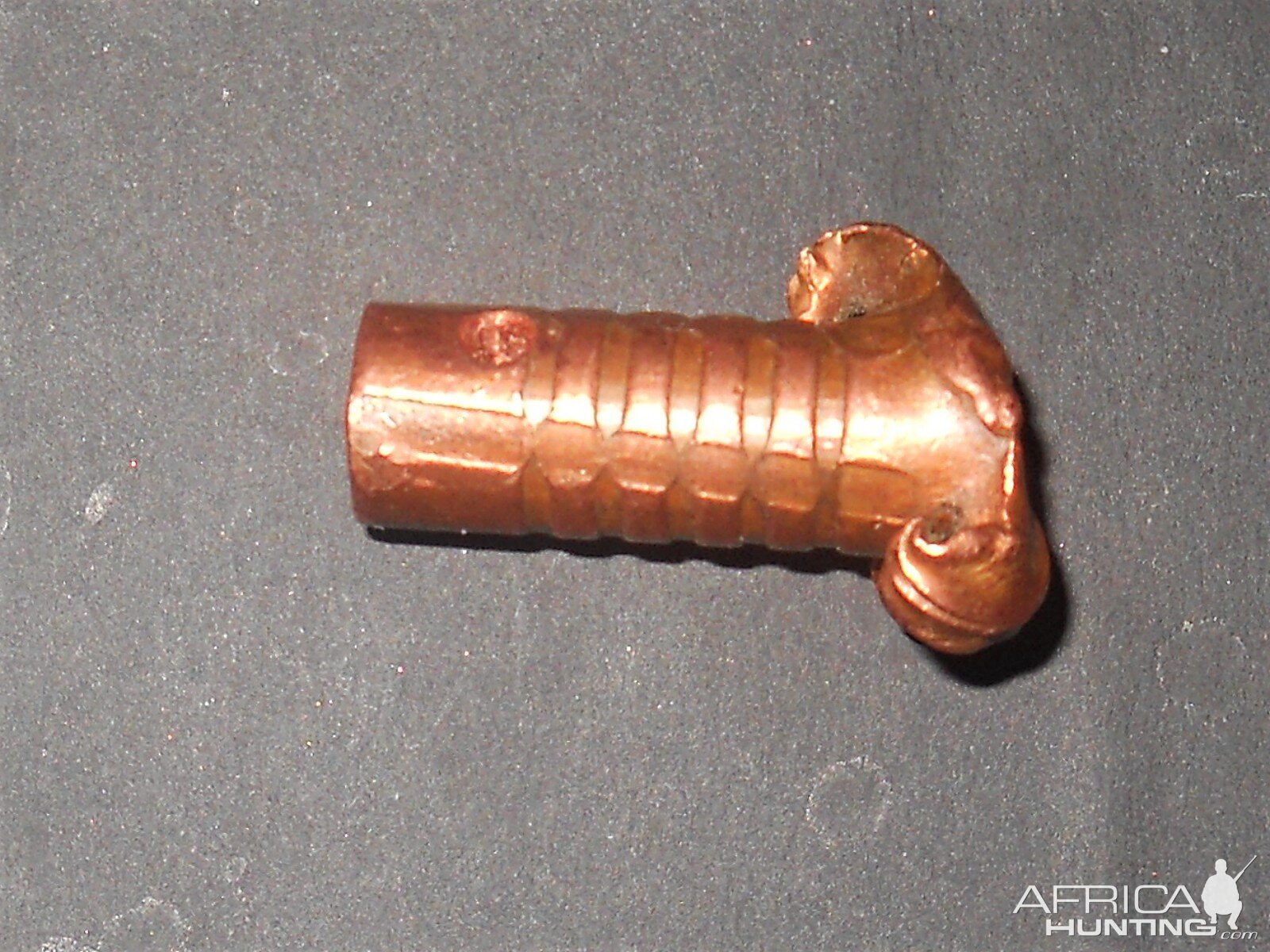 Bullet Performance solid copper bullet