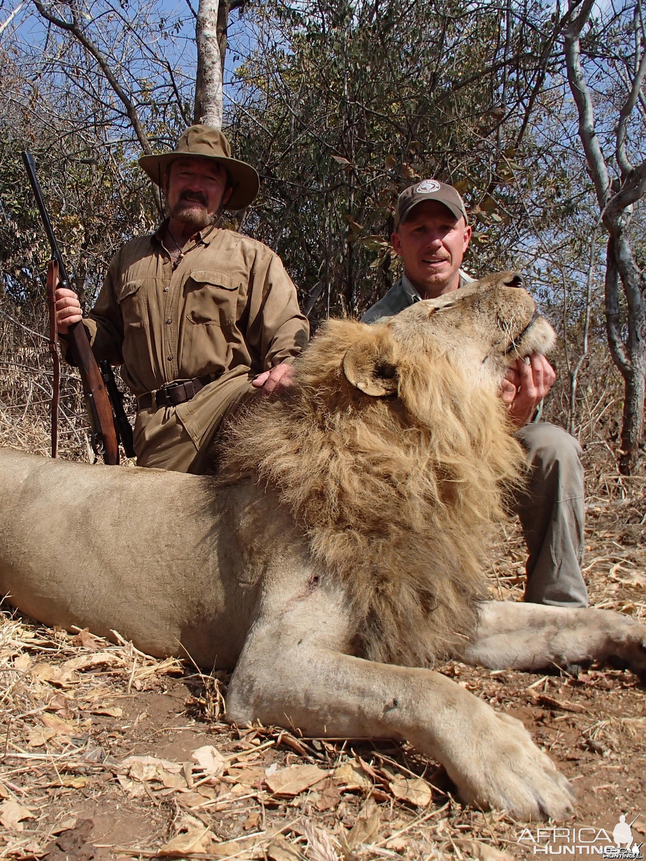 Bullet Safaris - Lion