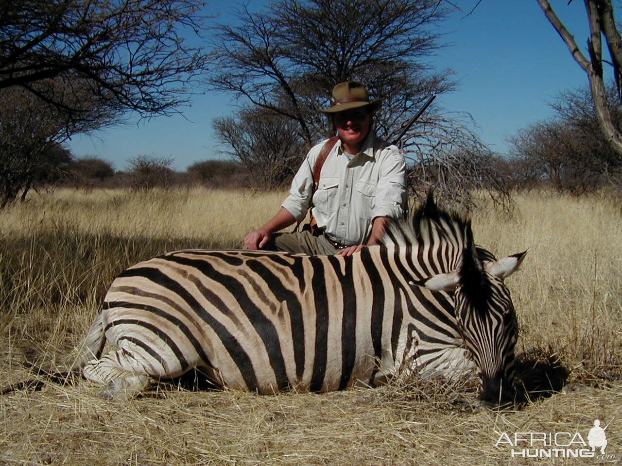 Burchell Zebra Hunting in Namibia