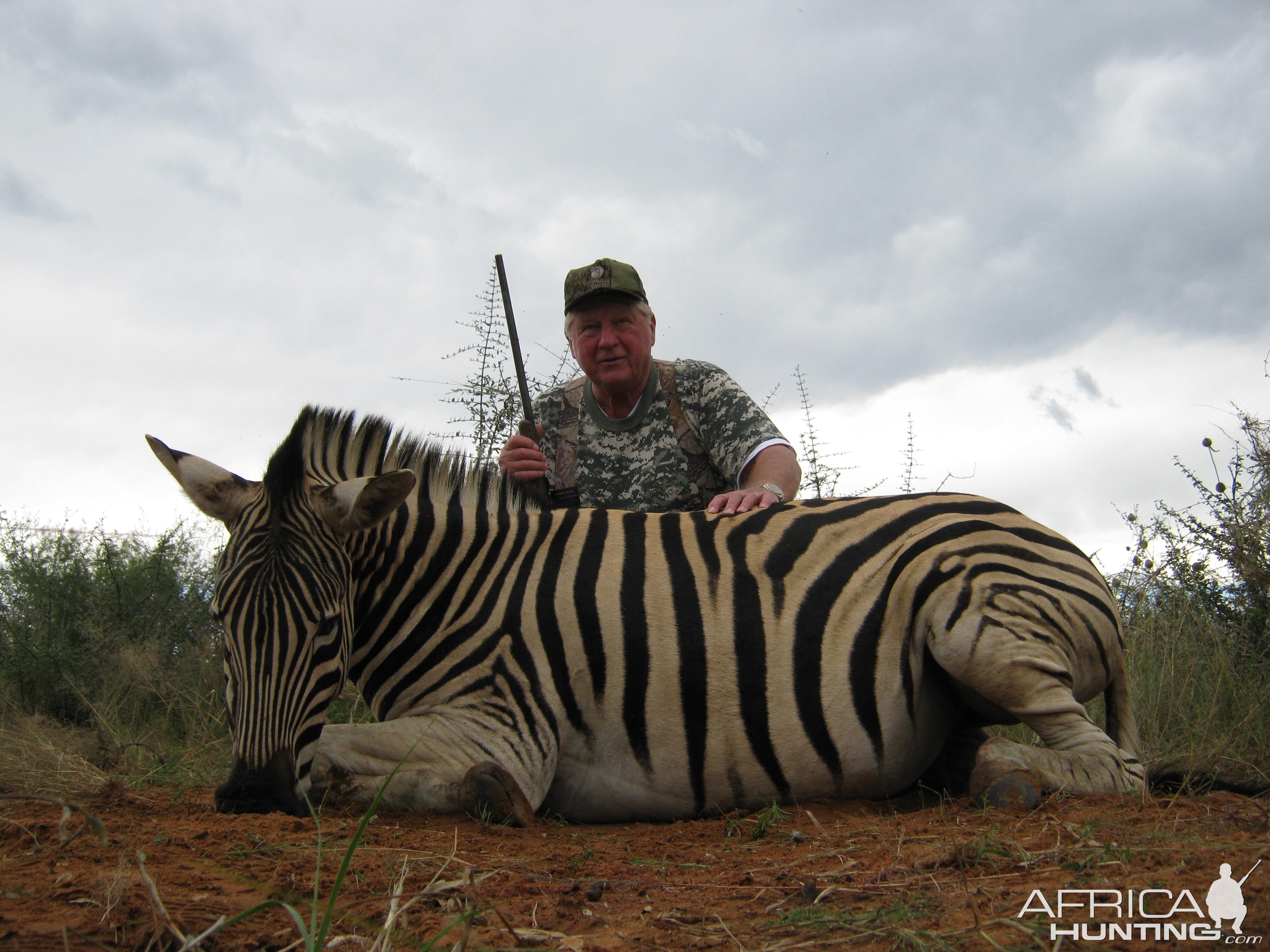 Burchell Zebra with Kowas Hunting Safaris