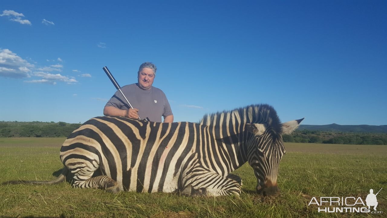 Burchell's Plain Zebra Hunt in South Africa