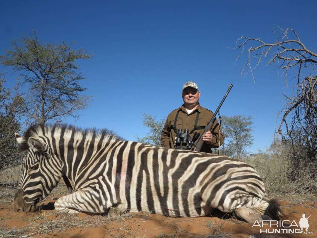 Burchell's Plain Zebra Hunt Namibia