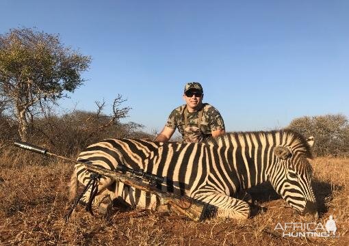 Burchell's Plain Zebra Hunt South Africa