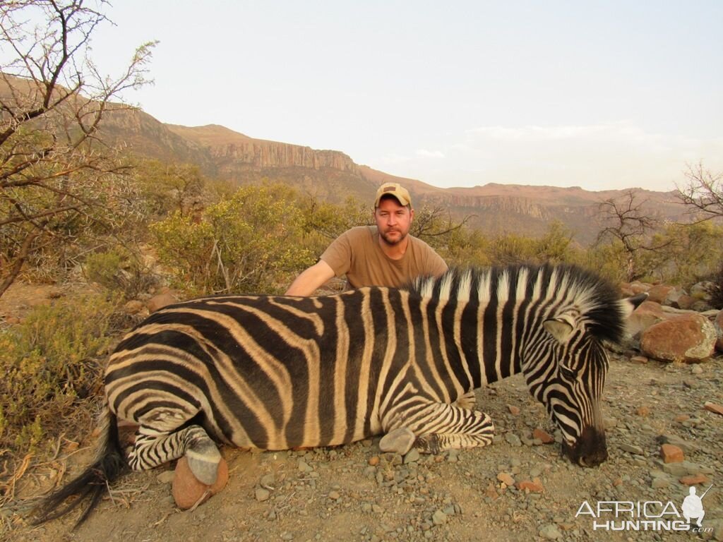 Burchell's Plain Zebra Hunt South Africa