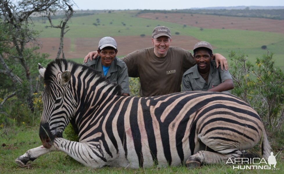 Burchell's Plain Zebra Hunting In Namibia
