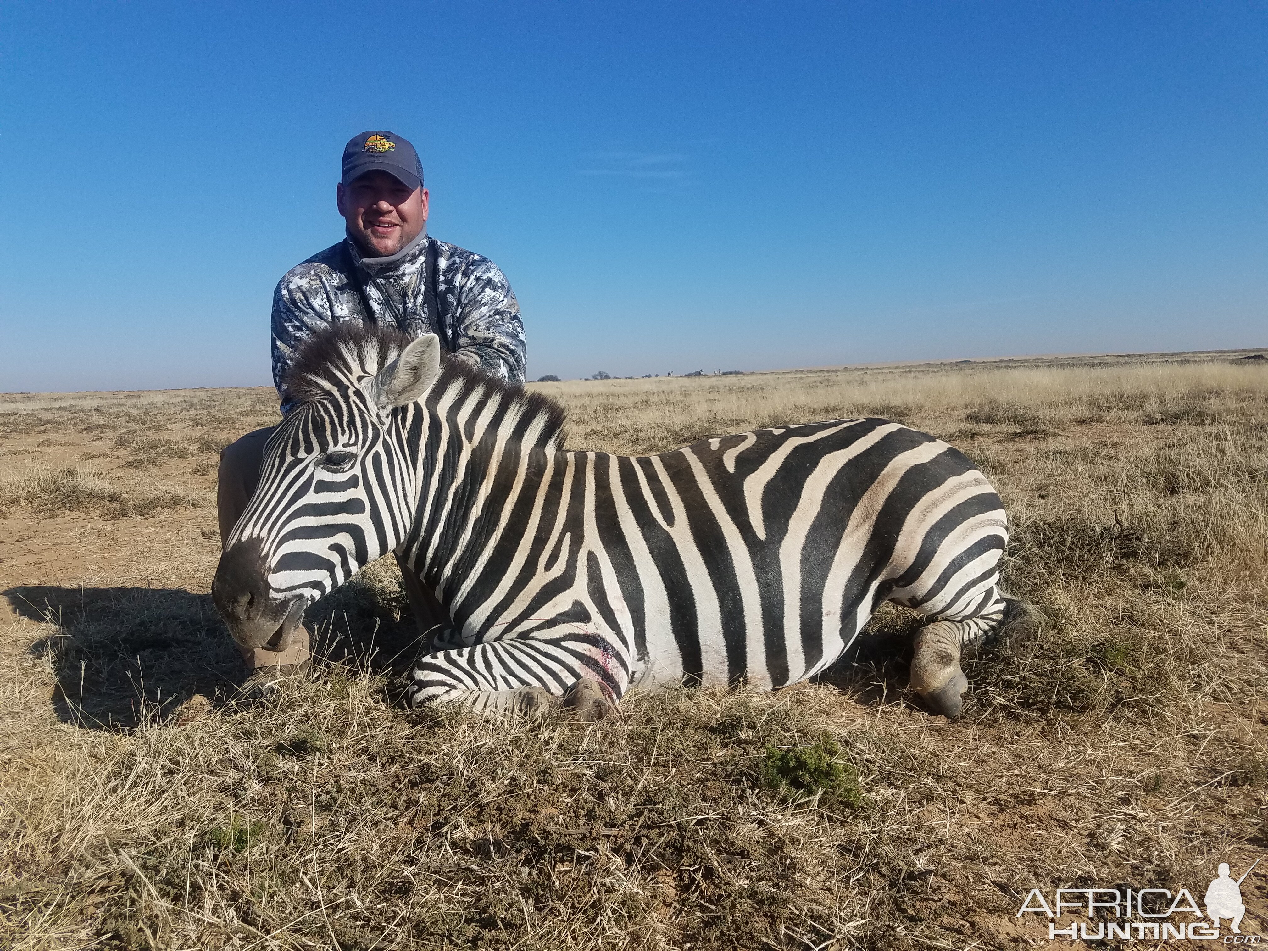 Burchell's Plain Zebra Hunting in South Africa