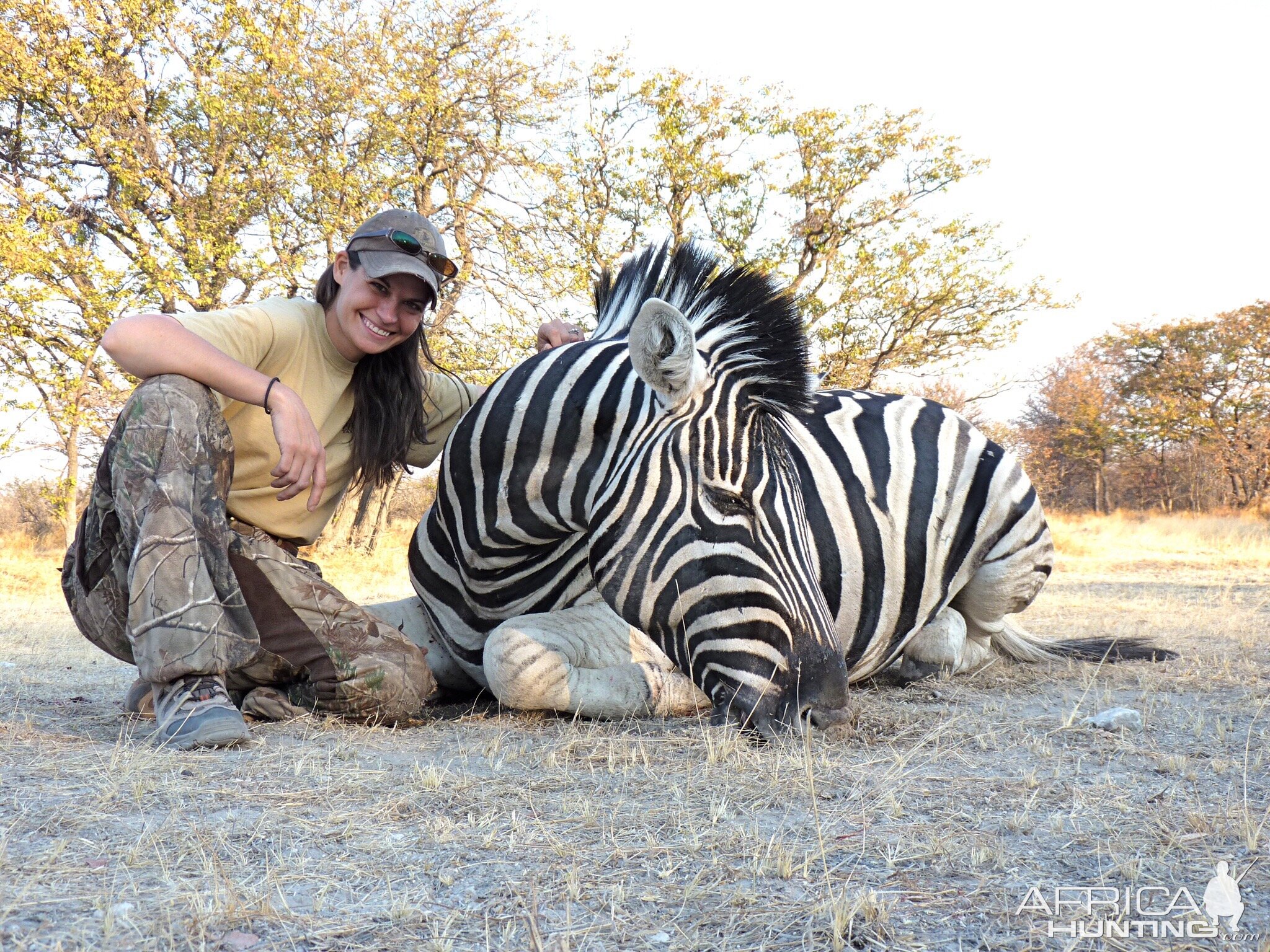 Burchell's Plain Zebra Hunting Namibia