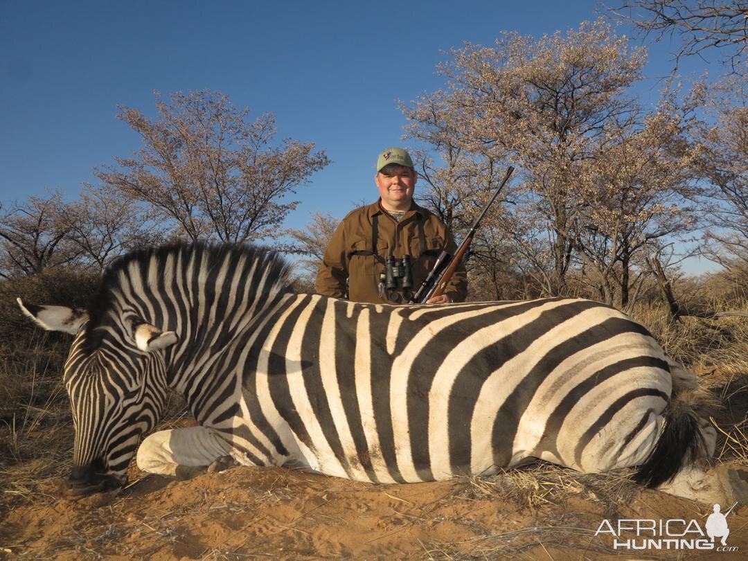 Burchell's Plain Zebra Hunting Namibia