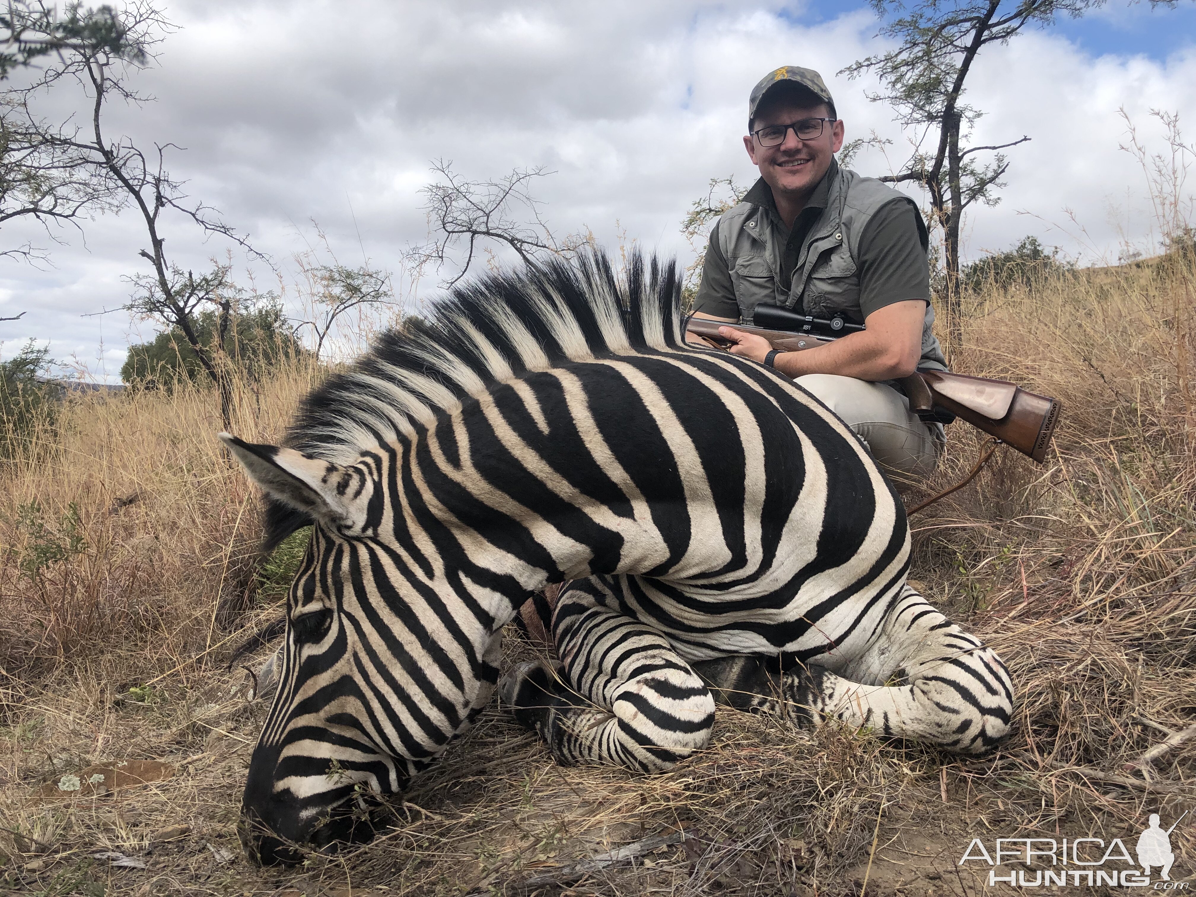 Burchell's Plain Zebra Hunting South Africa