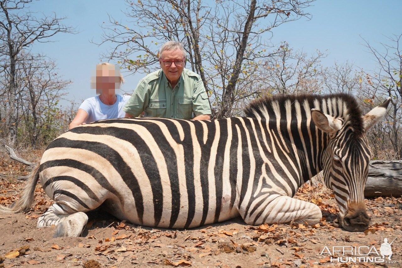 Burchell's Plain Zebra Hunting Zimbabwe