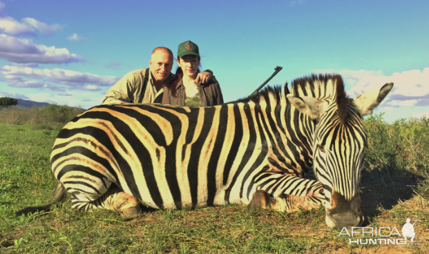 Burchell's Plain Zebra South Africa Hunt