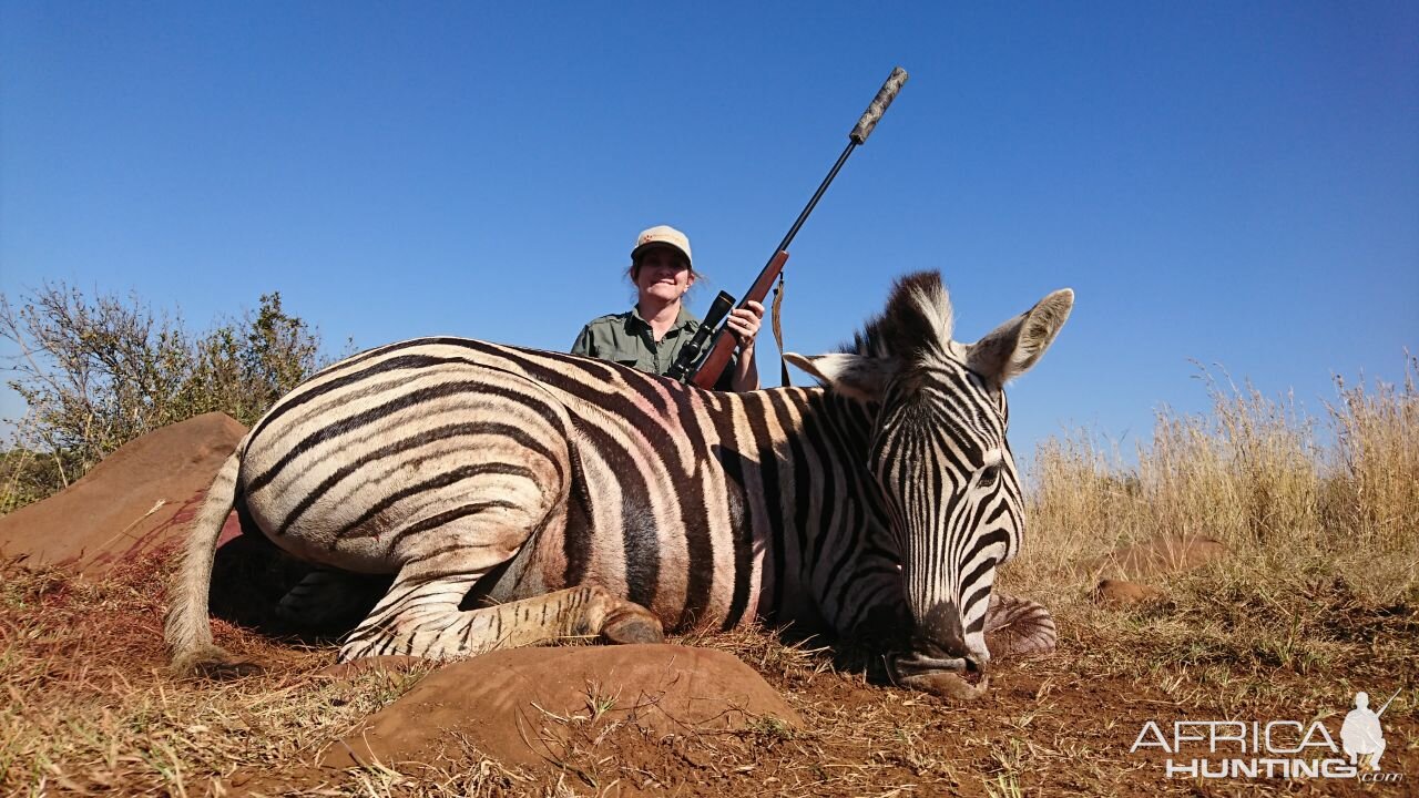 Burchell's Plain Zebra South Africa Hunting
