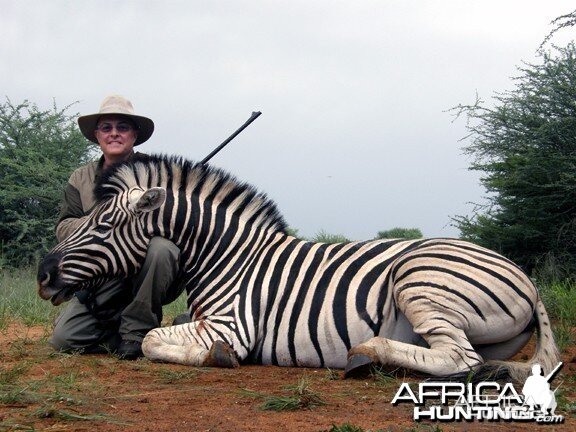 Burchell's Zebra Hunt Namibia