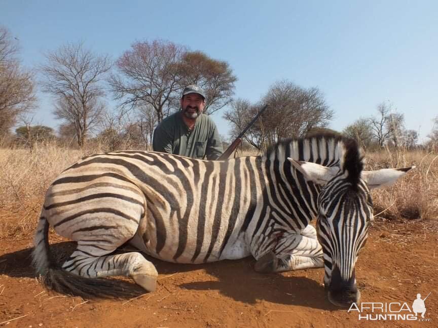 Burchell's Zebra Hunt South Africa
