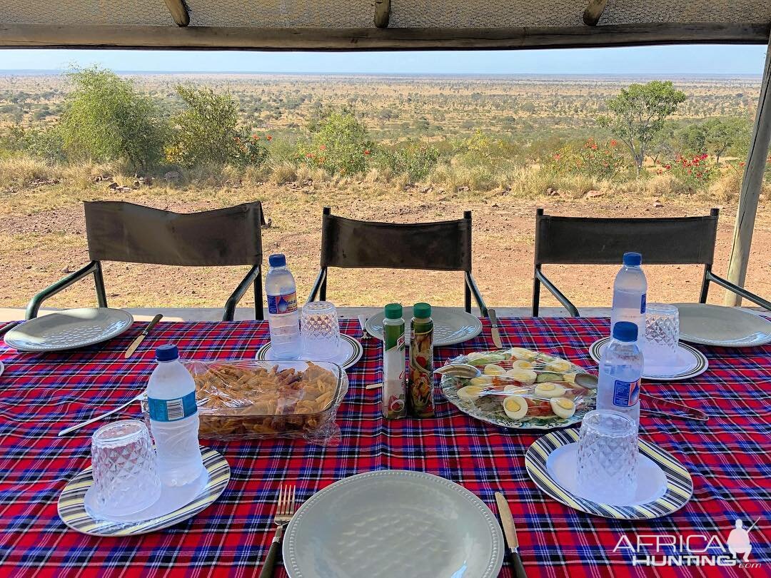 Bush lunch with a view