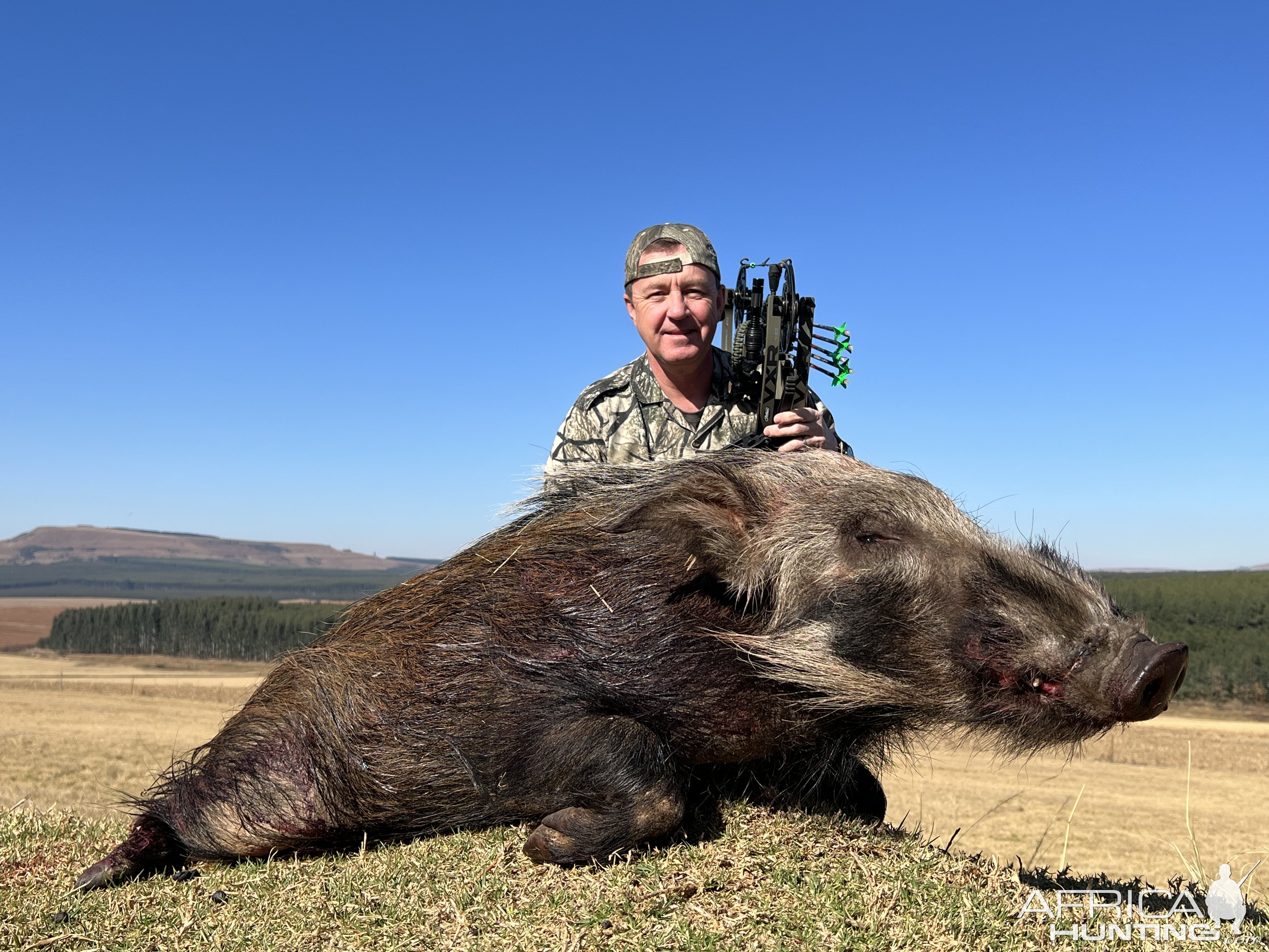 Bush Pig Bow Hunting South Africa