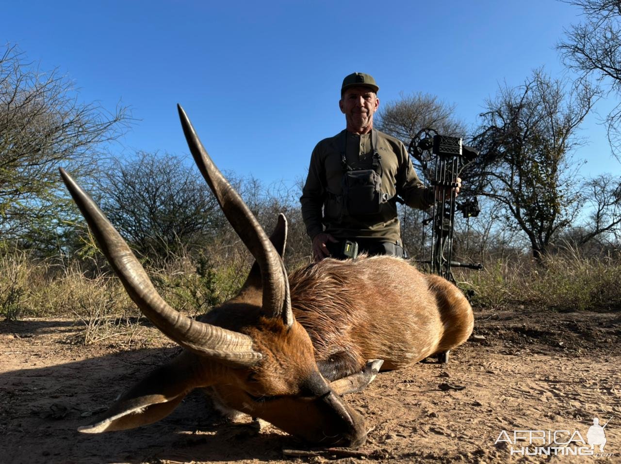 Bushbuck Bow Hunt South Africa