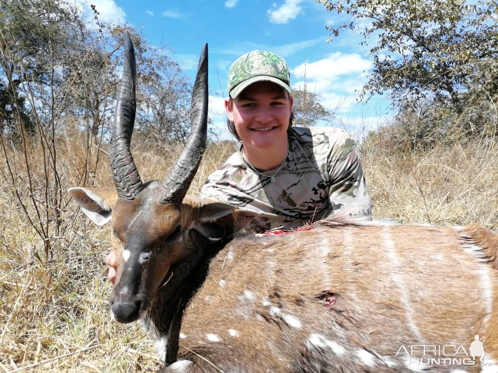 Bushbuck Bow Hunting Zambia