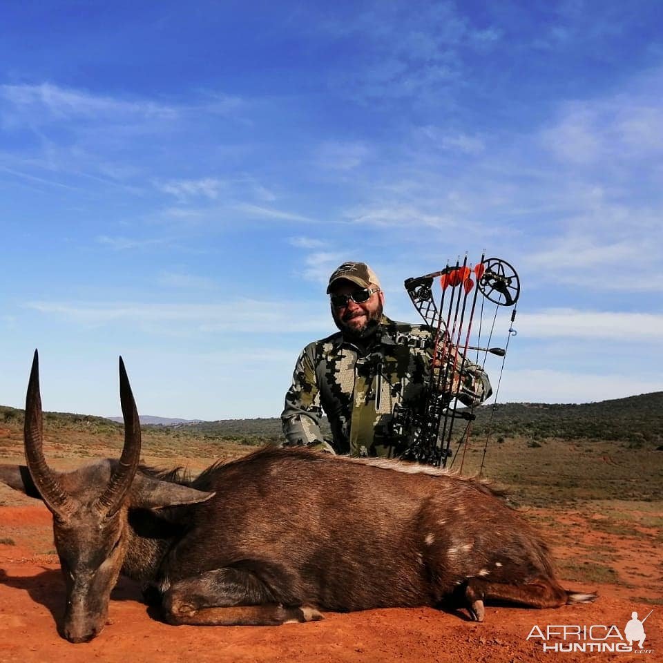 Bushbuck Bowhunting Hunting Eastern Cape South Africa