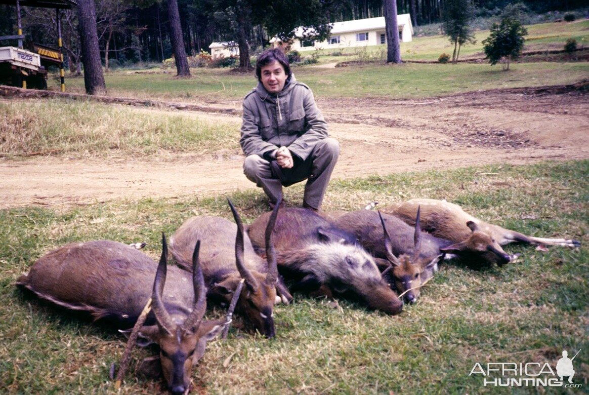 Bushbuck, Bushbuck & Duiker Hunting South Africa