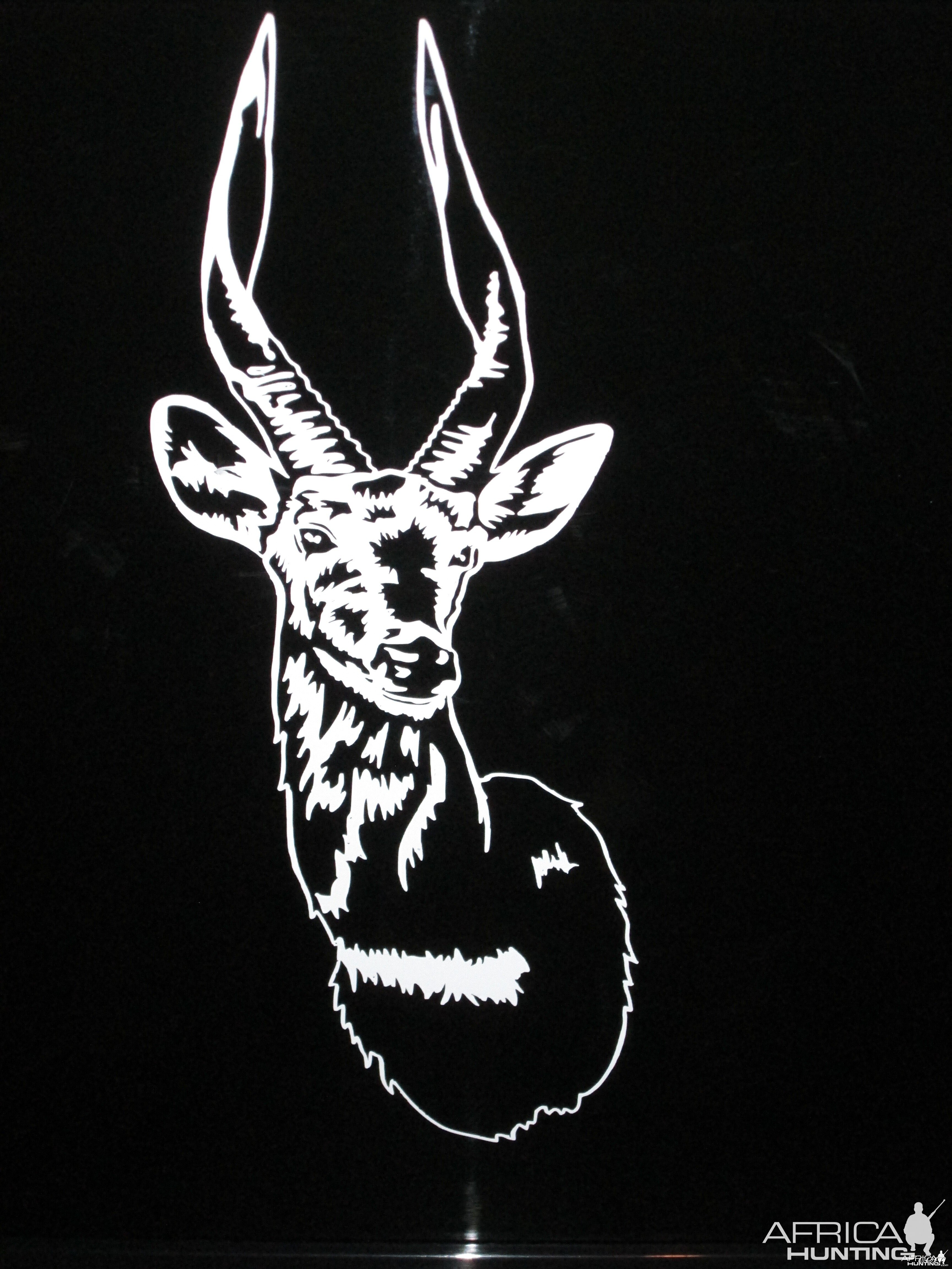 Bushbuck Decal Stickers