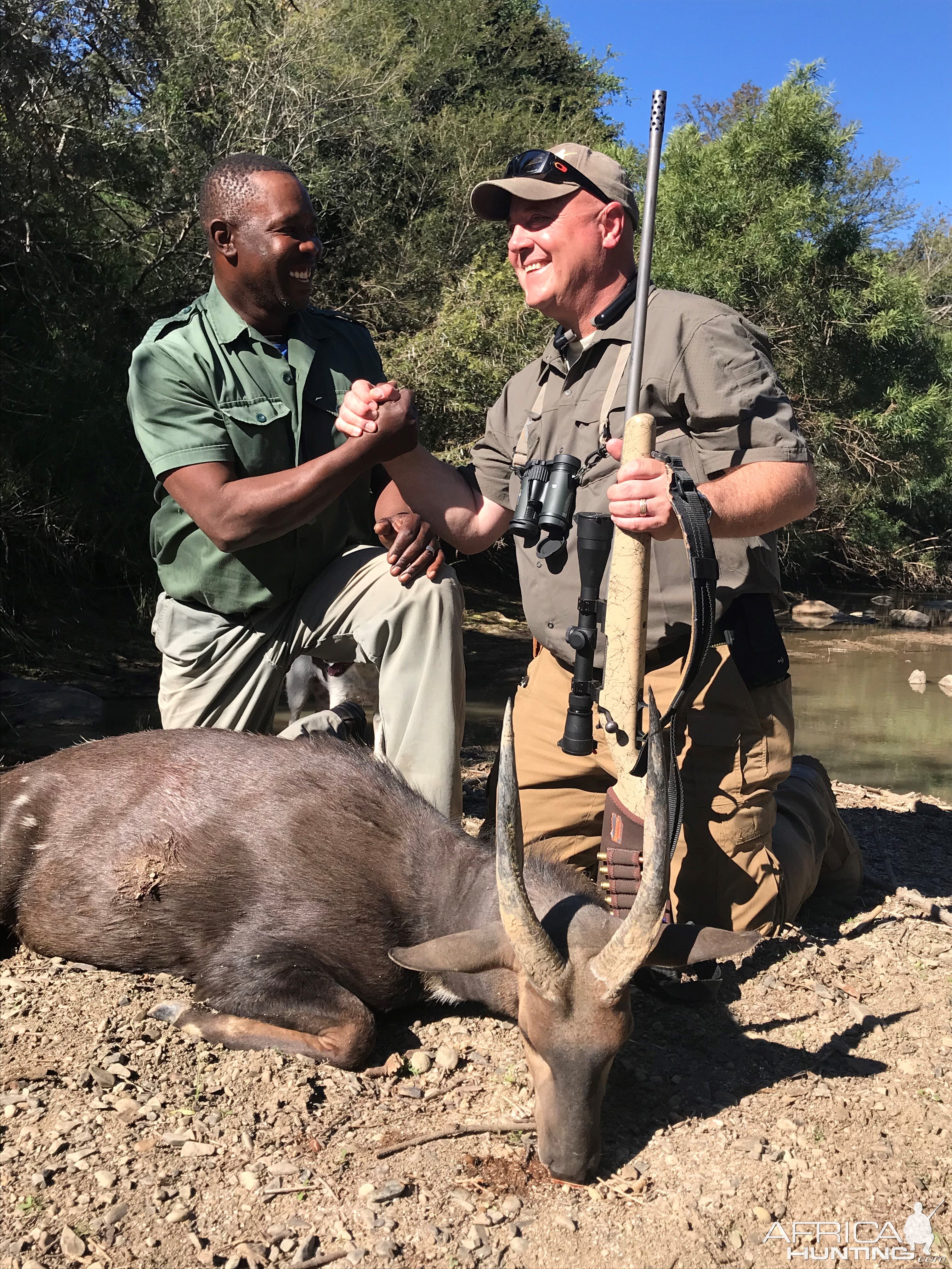 Bushbuck Hunt Eastern Cape South Africa