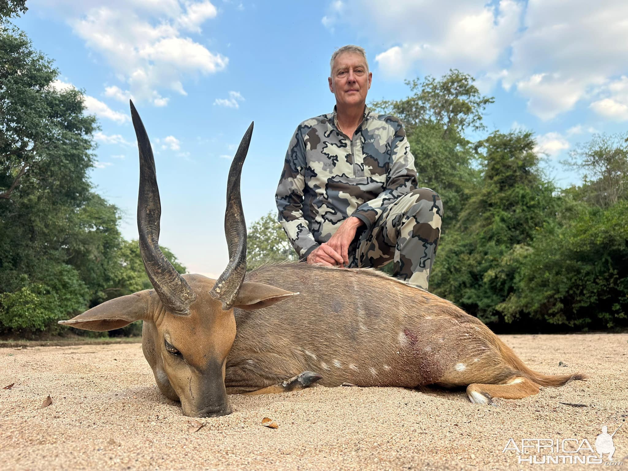 Bushbuck Hunt Mozambique