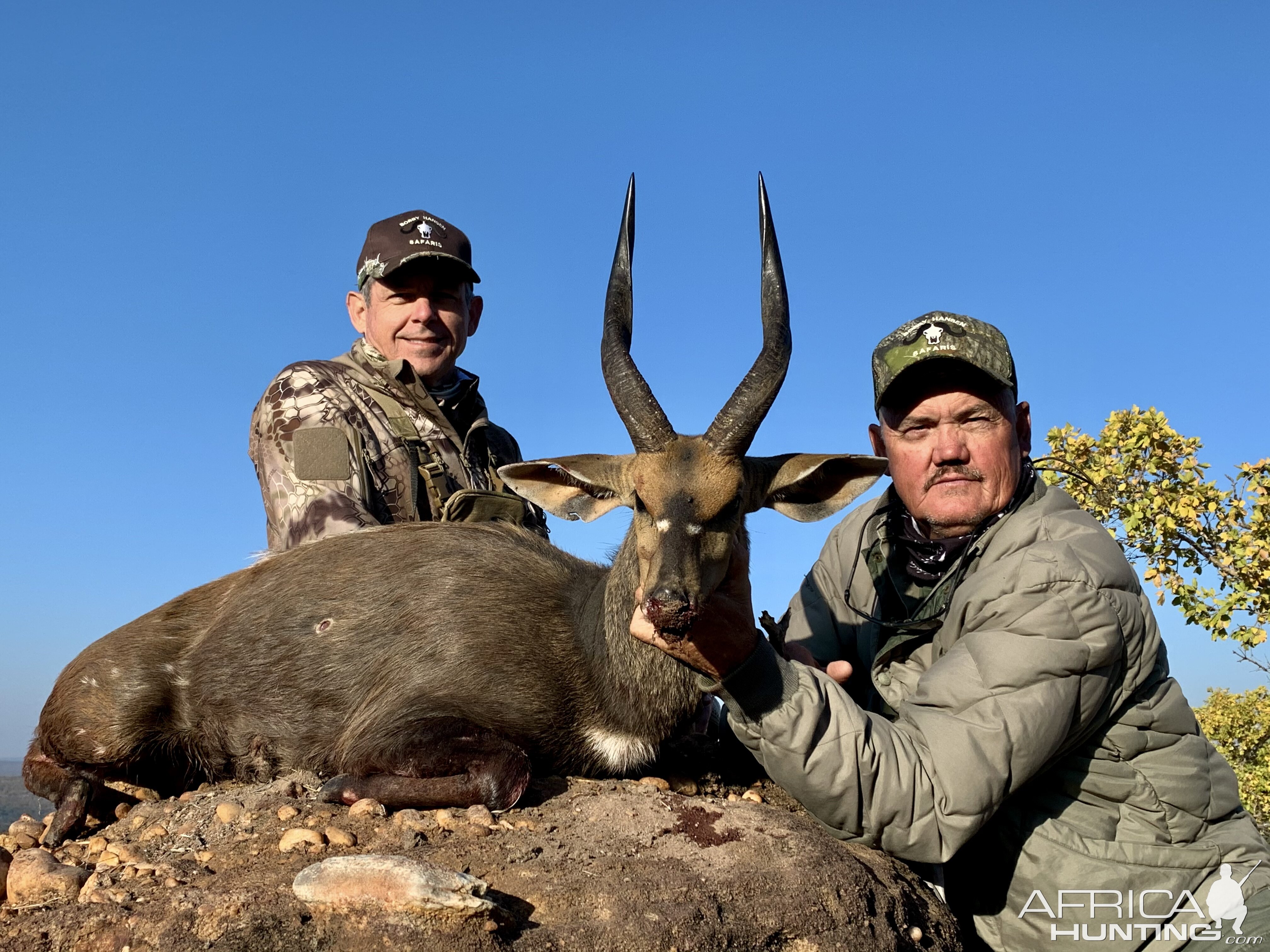 Bushbuck Hunt South Africa