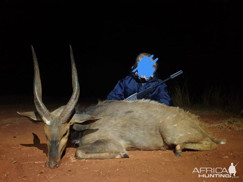 Bushbuck Hunt South Africa
