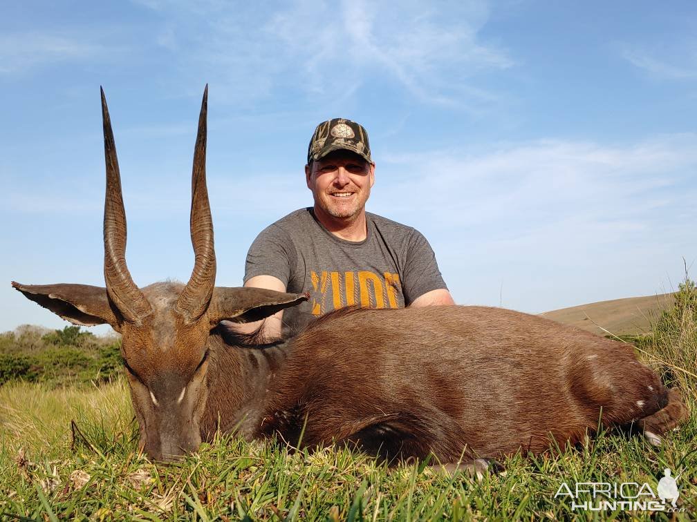 Bushbuck Hunt South Africa