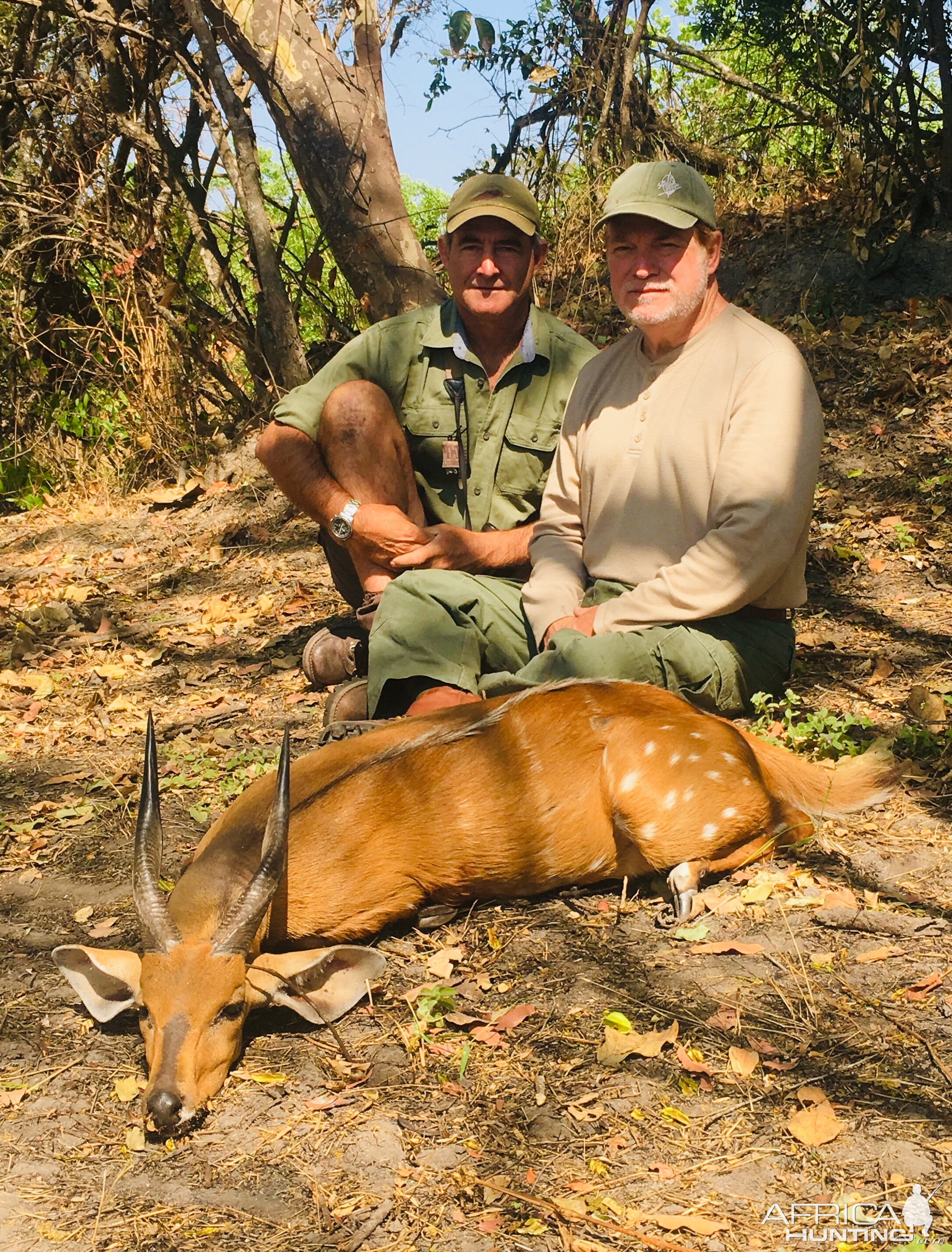 Bushbuck Hunt Tanzania