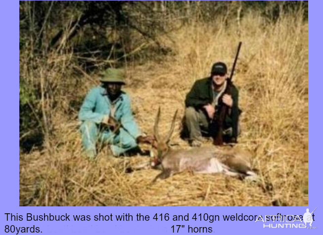 Bushbuck Hunt Zimbabwe