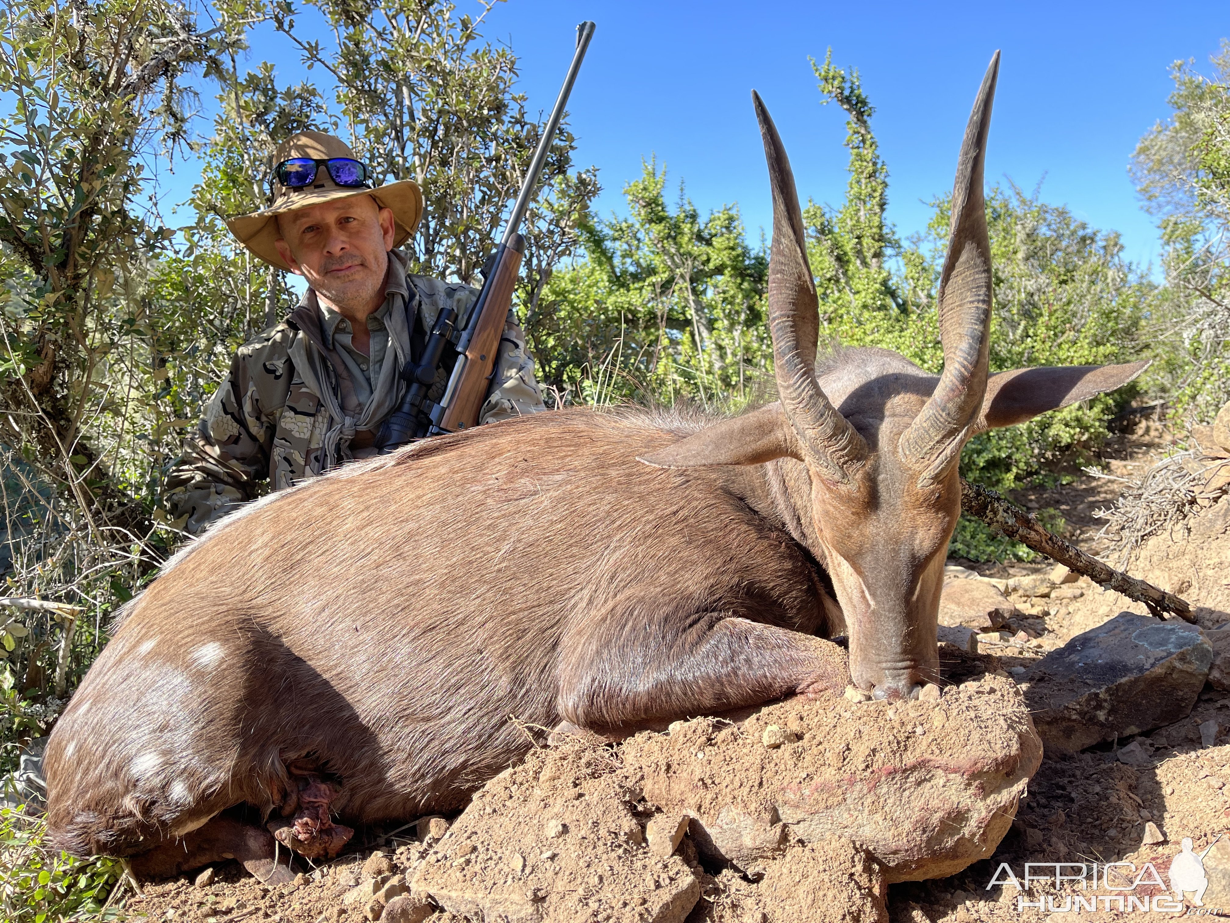 Bushbuck Hunting Eastern Cape South Africa