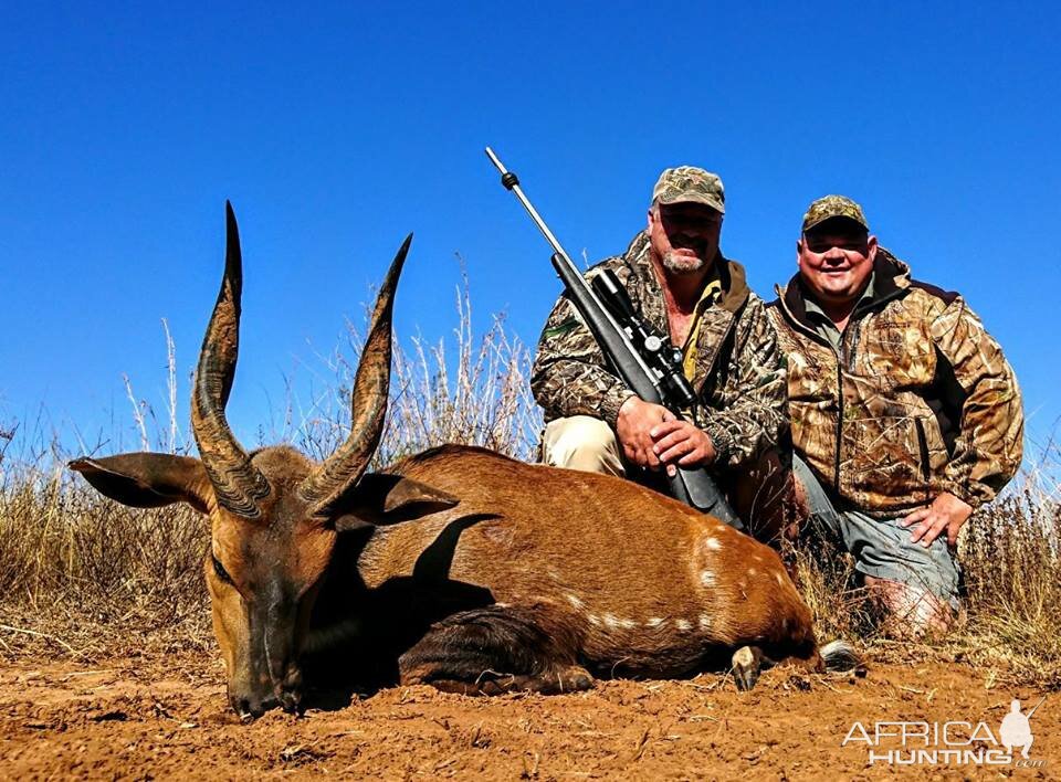 Bushbuck  Hunting South Africa