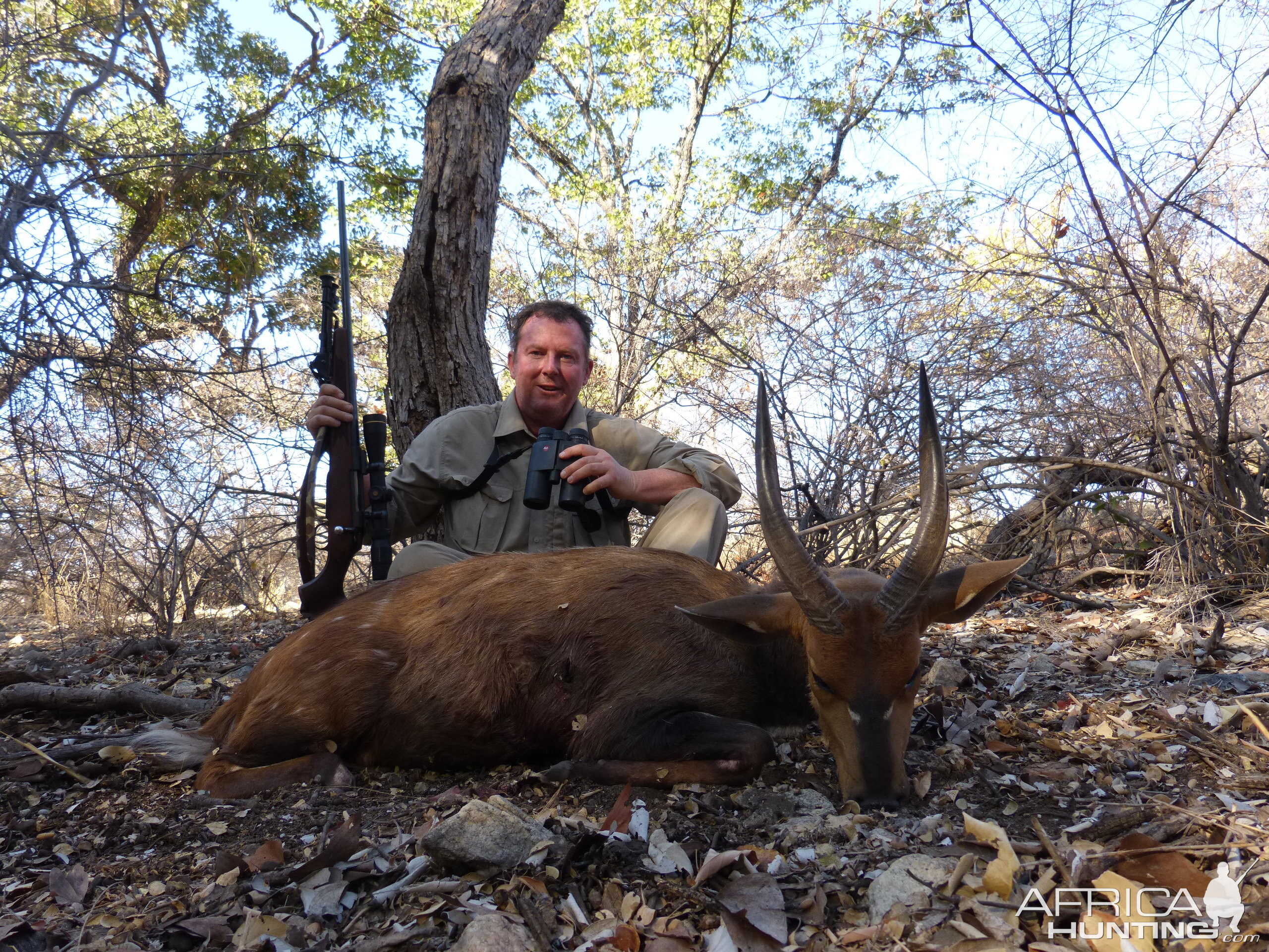 Bushbuck Hunting South Africa