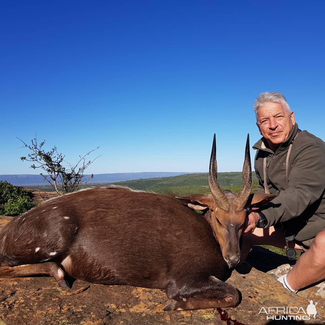 Bushbuck Hunting South Africa