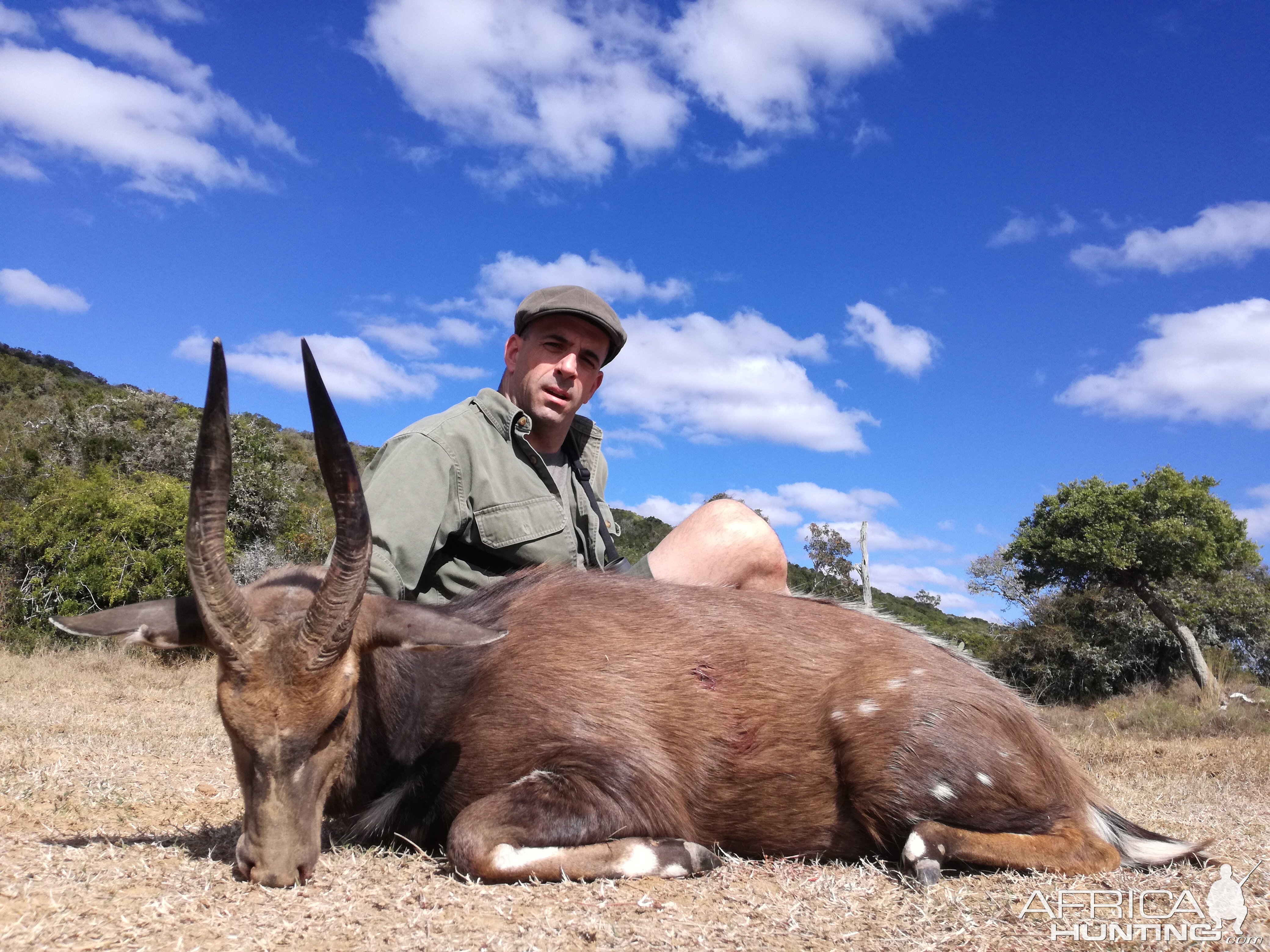 Bushbuck Hunting South Africa