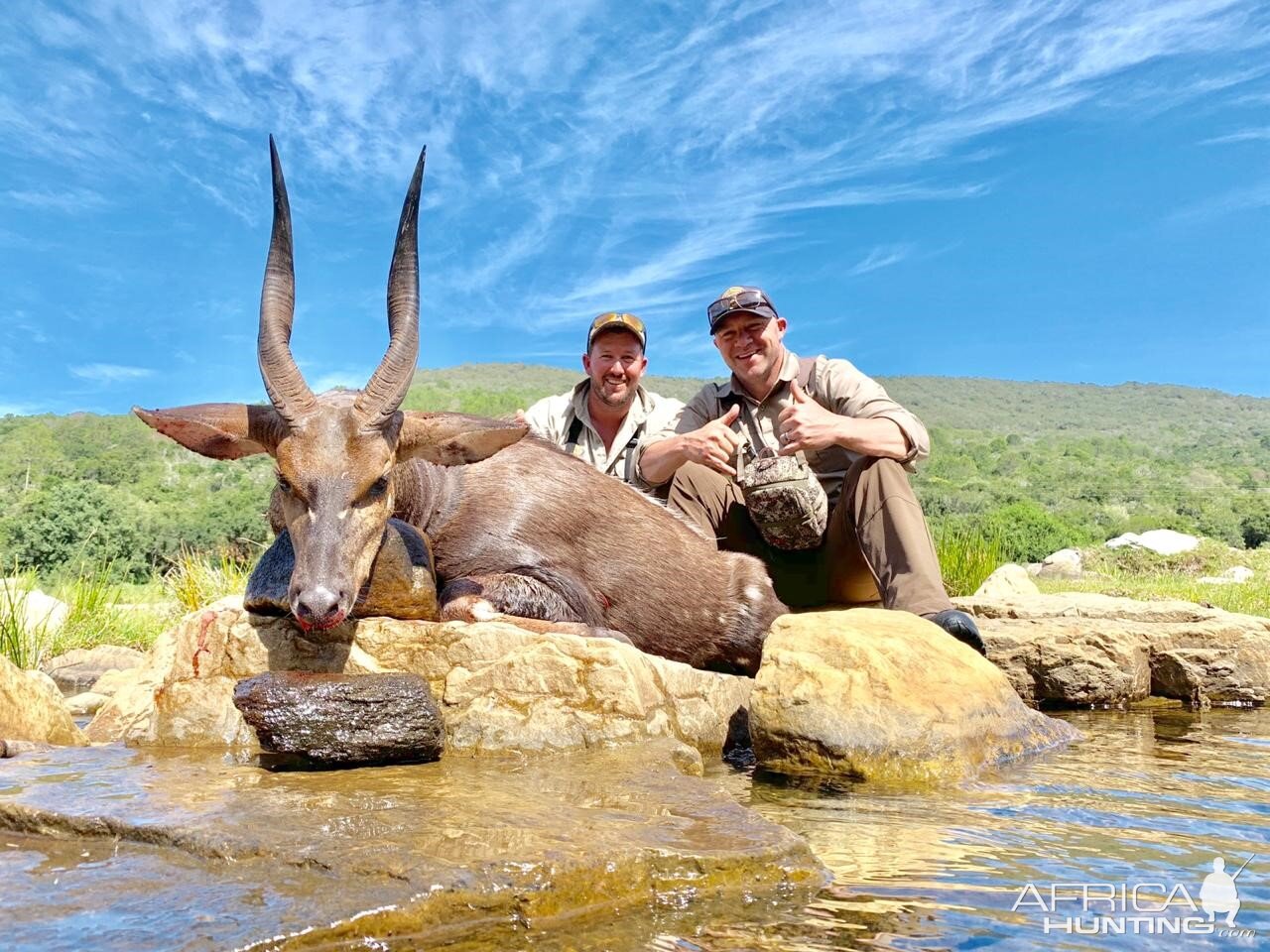 Bushbuck Hunting South Africa