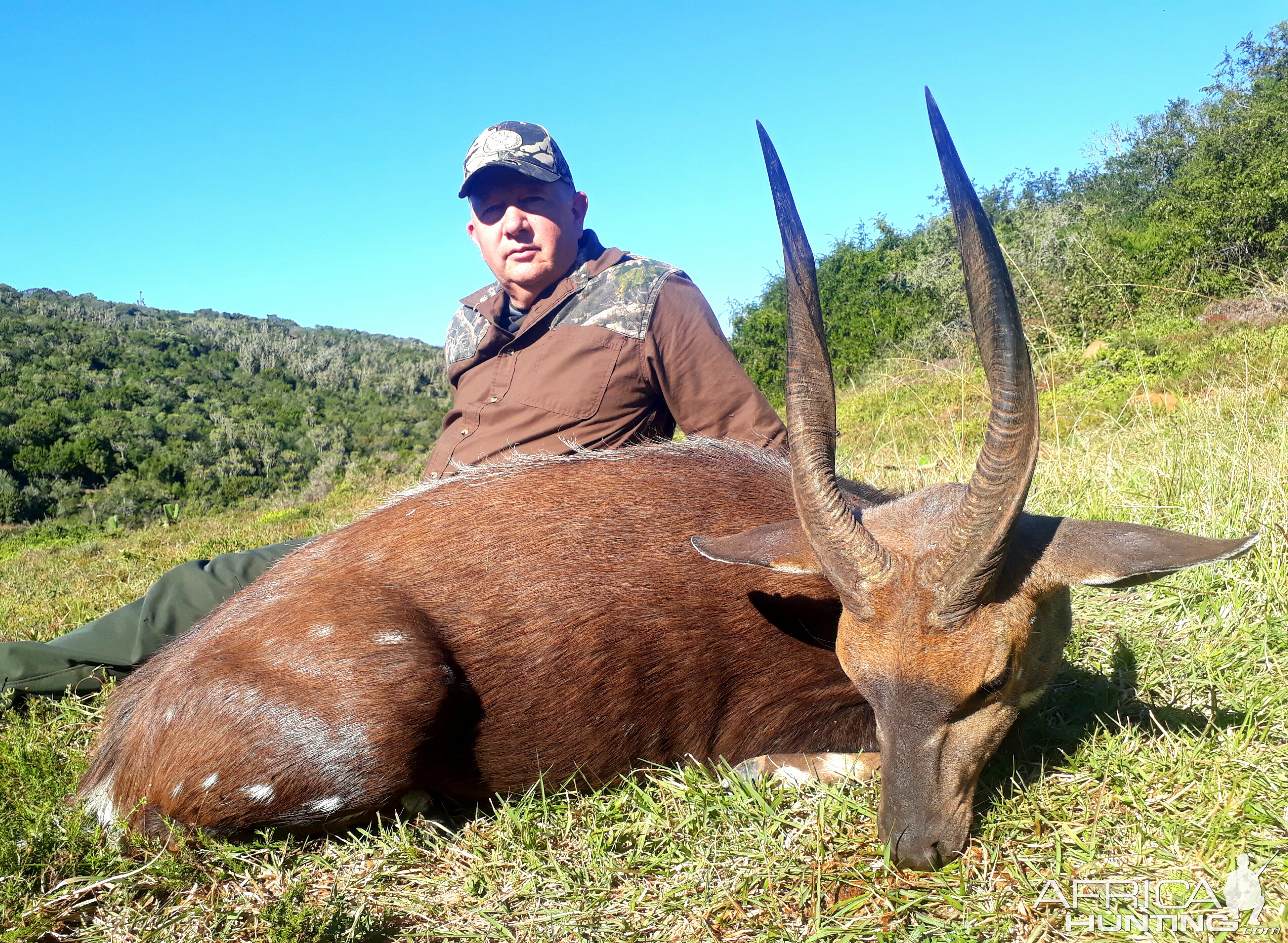 Bushbuck Hunting South Africa